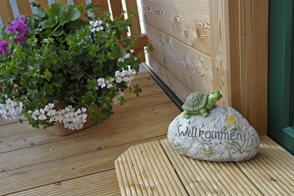 Ferienhaus Johanna Schladming Cameră foto